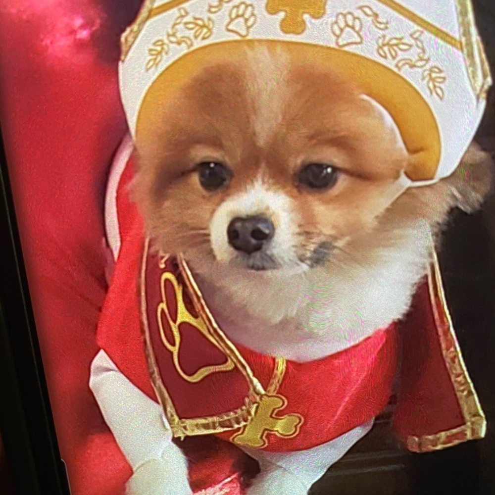 Dog pope costume
